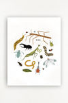 Cutie Crawly Roundup Art