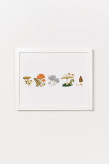  Mushroom Lineup Art