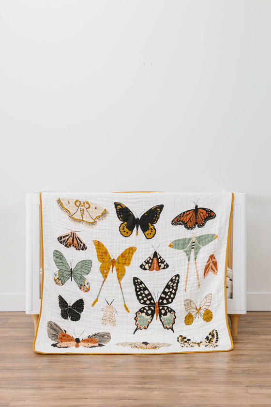 Butterfly Essential Bundle