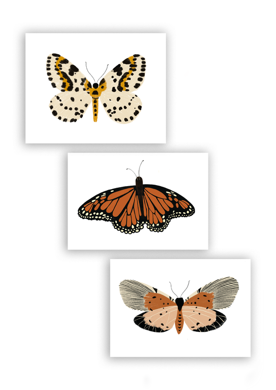 Butterfly Art Bundle